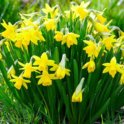 Oster Gottesdienste St. Jakob 2023