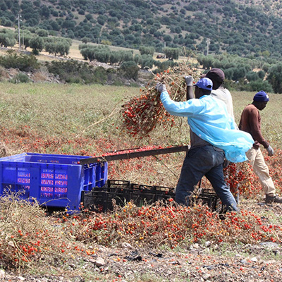 Solidarreise Süditalien Oktober 2023