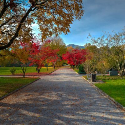 Friedhof Sihlfeld (c) ponte1112 flickr