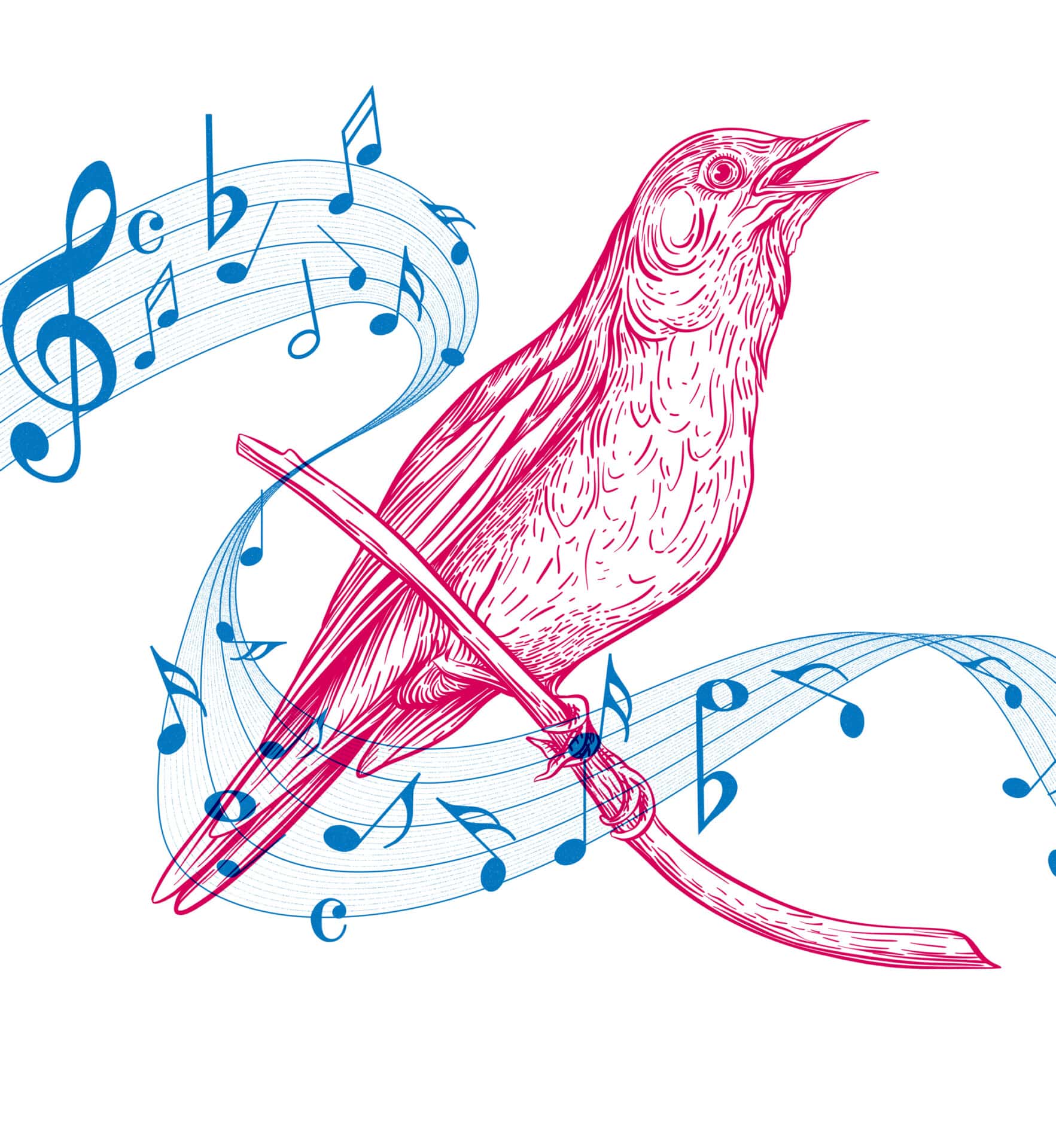 Riso_Mittagssingen_RGB