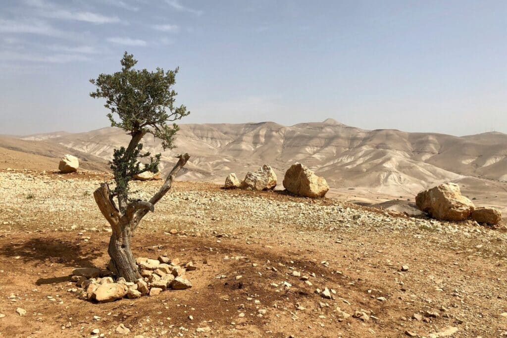 Ein Gesprächsabend mit Friedensaktivistin Sumaya Farhat-Naser, an dem sie über ihre Friedensarbeit und das Leben der Menschen in Palästina spricht.
Dienstag, 5. Mai, 19 Uhr