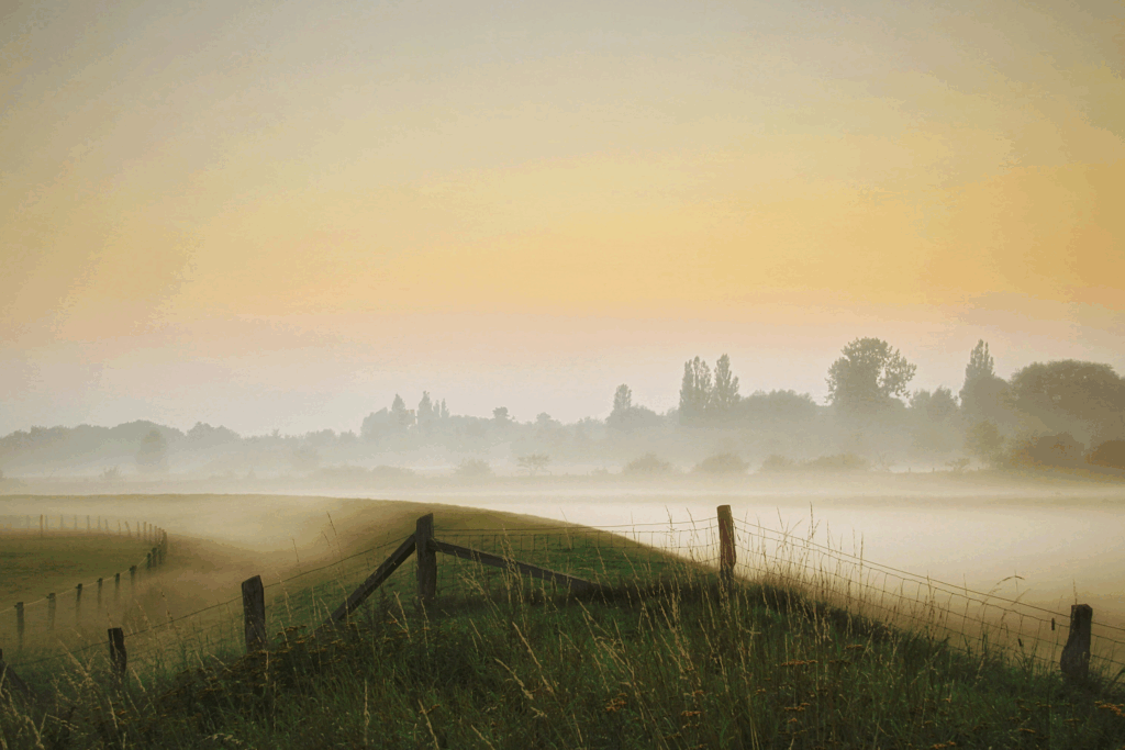Seit Anfang September ist Jakob Wolfes der neue Kantor und Organist in der Citykirche. Am 14. November gibt er sein offizielles Antrittskonzert an der einzigartigen Kuhn-Orgel mit Musik, die belebt und in Aufbruchstimmung versetzt.
