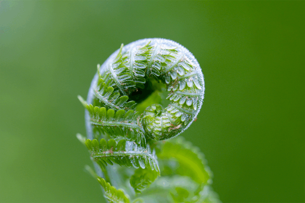 Fastenwoche vom 21.-27. März: Mit dem Fasten möchten wir unserem Körper und unserer Seele eine Pause gönnen. Der Körper wird entschlackt, Selbst­heilungs­kräfte angeregt und unser Geist auf das Wesentliche in unserem Leben aus­gerichtet.