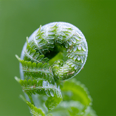 Fastenwoche 2026 470x470 (c) Fastenwoche 2026 470x470 (c)